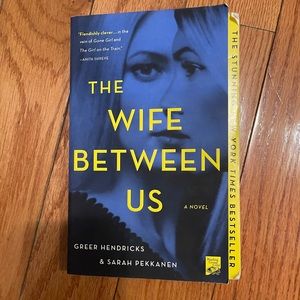 The wife between us novel